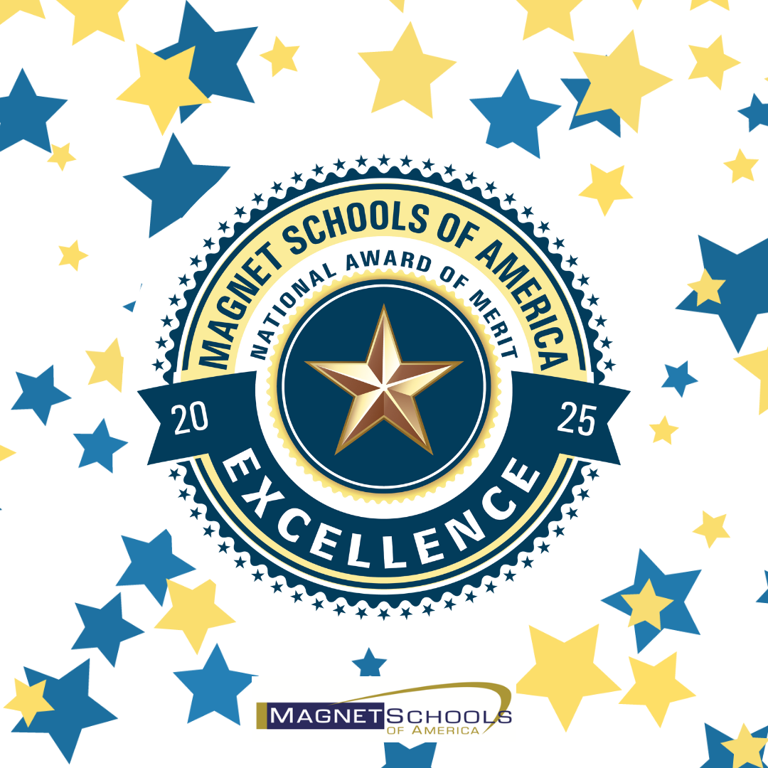  MSA Excellence